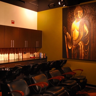 WHOLE AVEDA Salon Spa - Oldsmar, FL