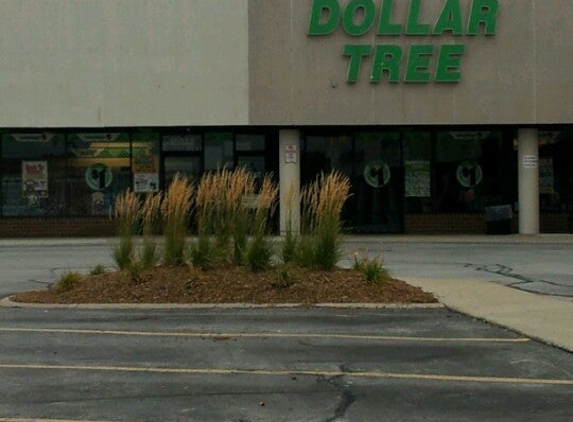 Dollar Tree - Orland Park, IL