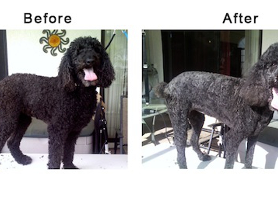 FancyFur Mobile Dog Grooming - Tampa, FL