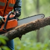 B & N Tree Care gallery