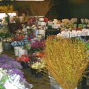 Associated Wholesale Florist - Wholesale Florists