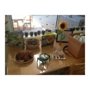 Gallery Image Number 5