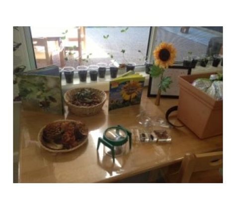 Wagga Wagga Early Years Learning Centre - Turvey Park, NSW