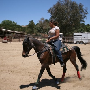 Discover Essential Horsemanship - Moorpark, CA