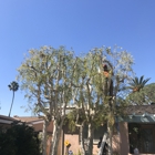 Rojas Tree Service