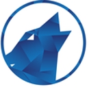 Clever Wolf Digital - Marketing Programs & Services
