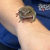 Petsense by Tractor Supply gallery