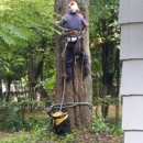 JW Tree Service - Arborists