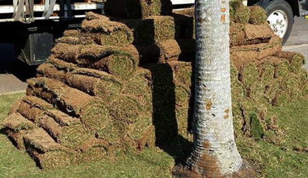 Ipswich Turf Supplies - Coominya, QLD