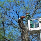 McKee Tree Service