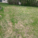 Grass Whackers