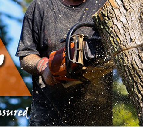 Kodiak Tree Service - Newfield, NY