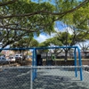 Kaimuki Community Park gallery