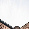 Cactus Seamless Gutters gallery
