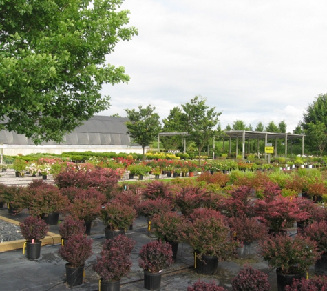 Four  Season Nursery - Traverse City, MI