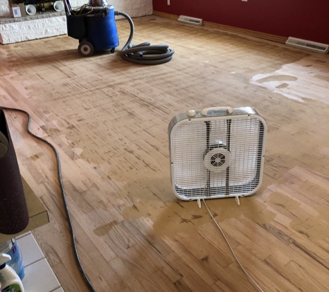 Hardwood Floor Maintenace - Bay City, MI