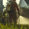 Buckingham Termite Control gallery