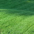 Yard Ace Lawn Care - Landscaping & Lawn Services