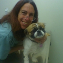 Spring Valley Animal Hospital - Pet Services