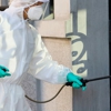 Bees-Bee-Gone Pest Control gallery