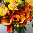 Montville Florist - Florists