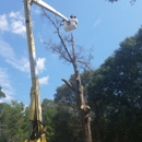 MM&H Tree Service - Tree Service Equipment & Supplies