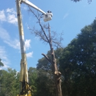 MM&H Tree Service