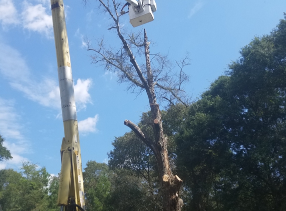 MM&H Tree Service - Axis, AL