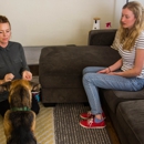 Dog Savvy Positive Dog Training - Dog Training