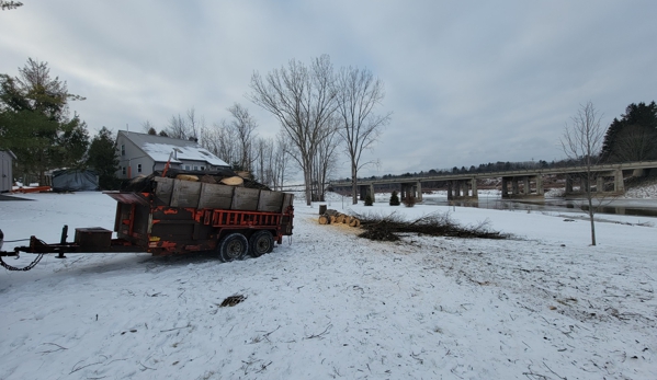 Affordable Tree Service - Sanford, MI