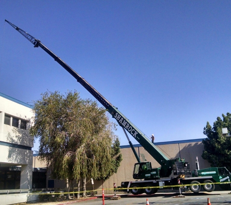 SHAMROCK CRANES - Van Nuys, CA