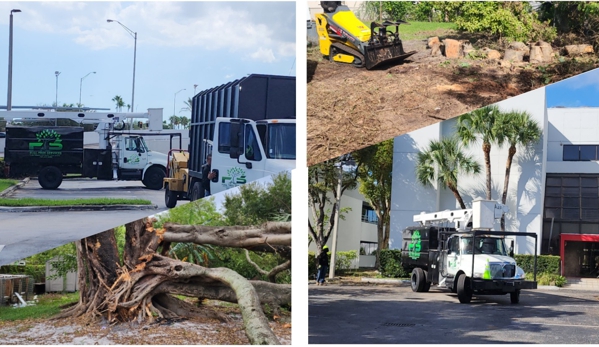 Full Tree Services - Davie, FL. 24hrs Emergency Tree Service