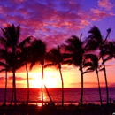 Superior Cruise & Travel