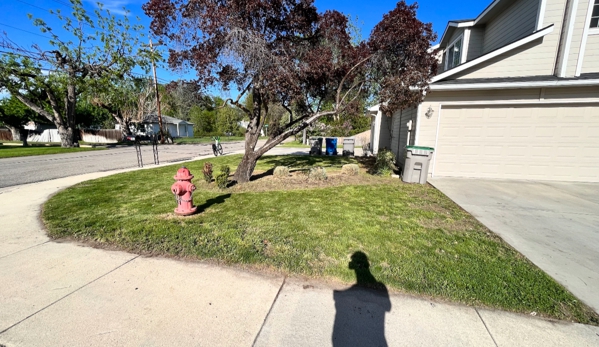 Quality Greens Lawncare and Landscaping - Nampa, ID