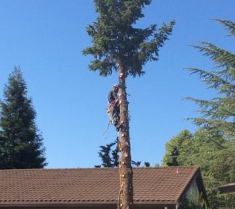 Advance Tree Service Inc - Walnut Creek, CA