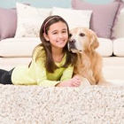 Organic Carpet Cleaning West Hollywood