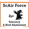 ScAir Force Falconry & Bird Abatement gallery