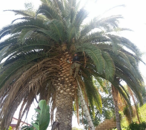 J C'S Tree Service - Riverside, CA