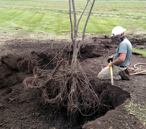 Wellnitz Tree Care - Topeka, KS