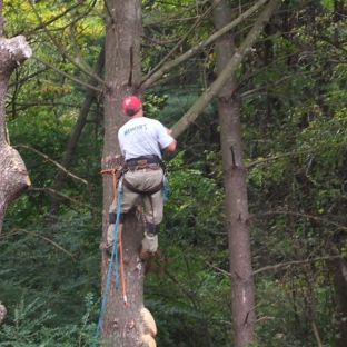 Mencer's Tree Service - Knoxville, TN
