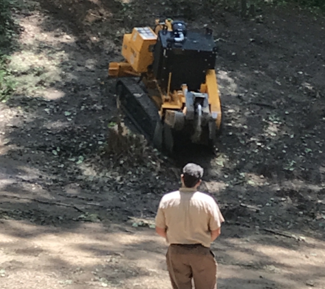 Economy Stump Removal - Gardendale, AL. Had no problem getting to stumps on hillside.