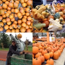 Spoth Farm Market - Fruit & Vegetable Markets