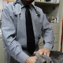 Alta Animal Hospital - Pet Services