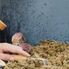 B & B Pest Control gallery