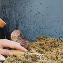 B & B Pest Control - Pest Control Equipment & Supplies