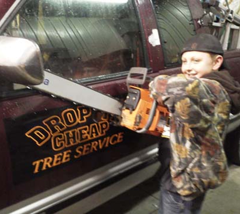 Drop It Cheap Tree Service - West Bend, WI