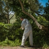 Chilton's Termite & Pest Control gallery