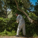 Chilton's Termite & Pest Control - Pest Control Equipment & Supplies