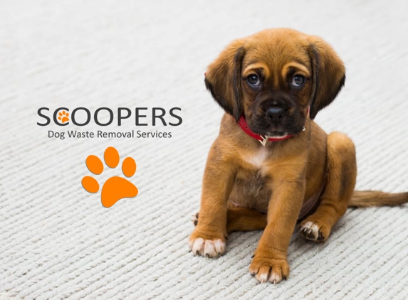 SCOOPERS Dog Waste Removal Services - Oswego, IL