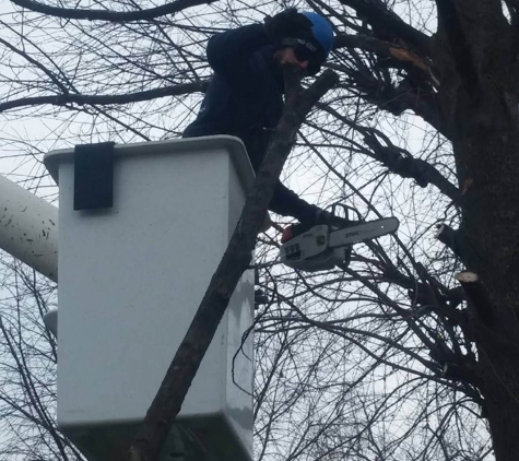 Tru-Cut Tree Service - Kokomo, IN